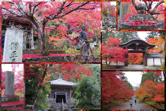 Kyoto Fall Foliage at Nison-In Temple
