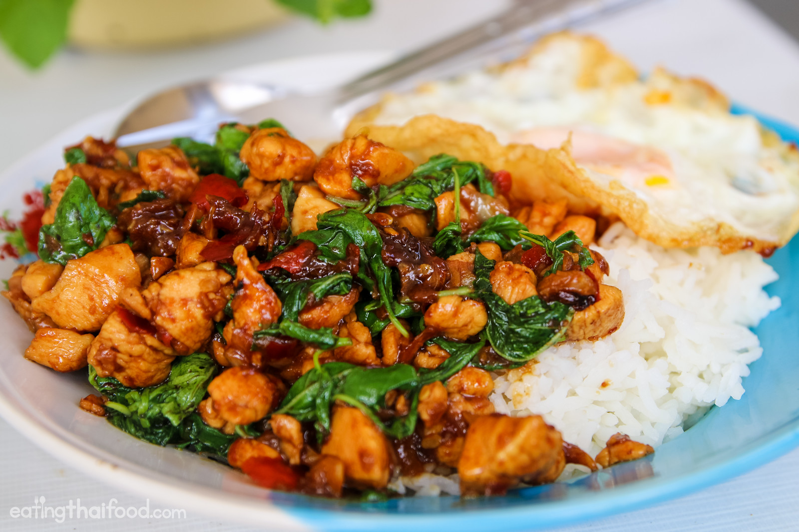 THE THAI FOODS RECIPES.: THAI FOOD Recipes : Cooking menu Thai Stir