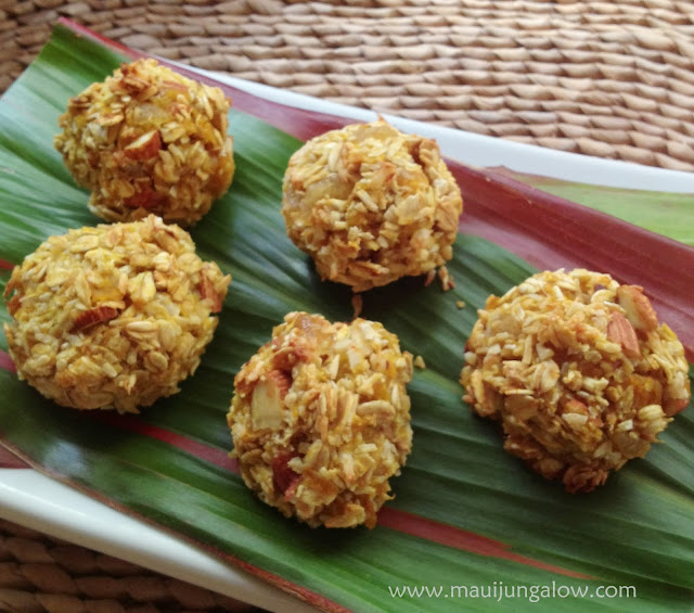 Mini Squash Oatmeal Ginger Bites Maui Jungalow