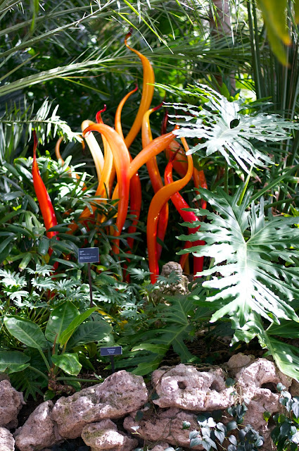 Chihuly glass sculptures at Phipps Conservatory in Pittsburgh PA