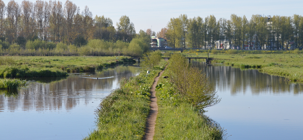 Natuur en Landschap..: Winterdijk en de Reeuwijkse plassen..