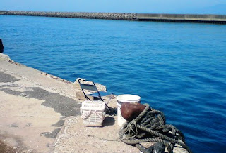 肝臓の脂肪によりウィンダーソン・ヌネスが変態する