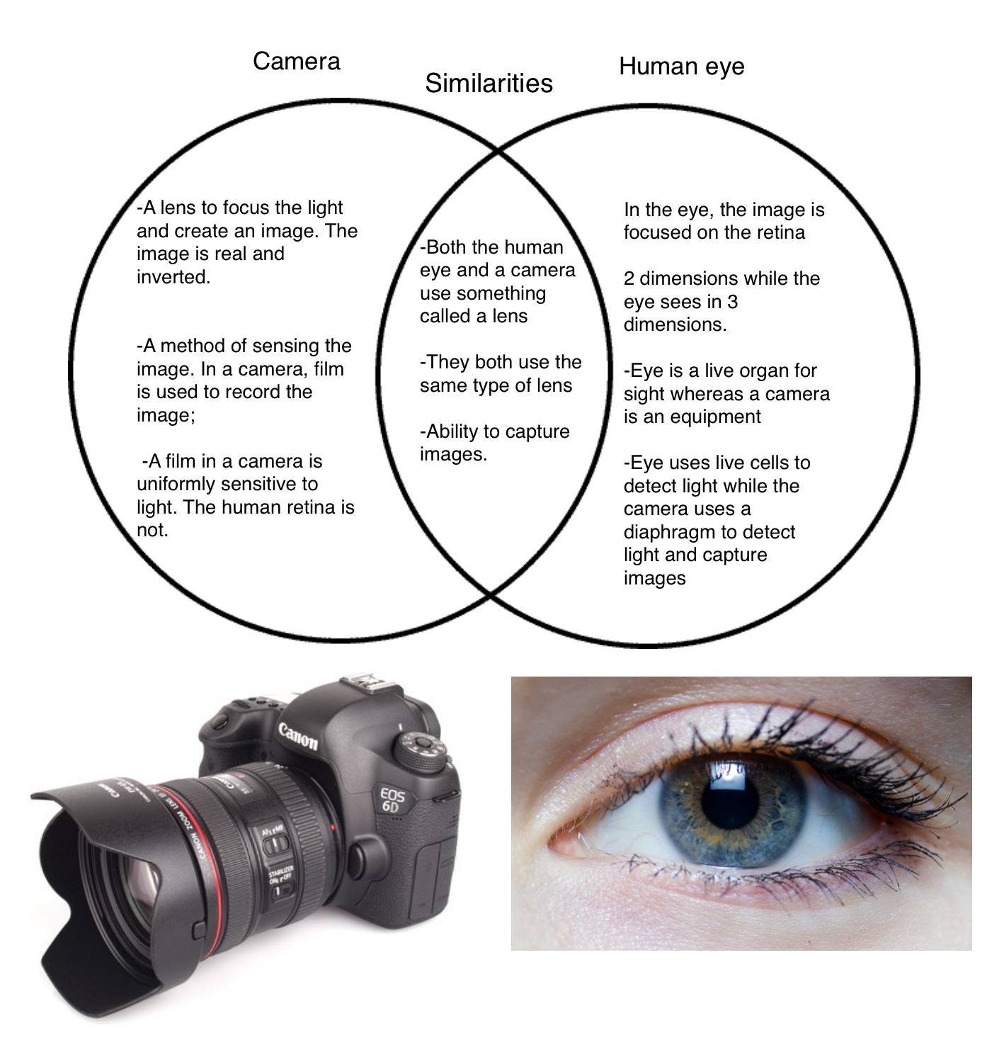 И не видим различия. Глаз и фотоаппарат сравнение. Различие глаза и фотоаппарата. Различия между глазом и фотоаппаратом. Сходство глаза и фотоаппарата.