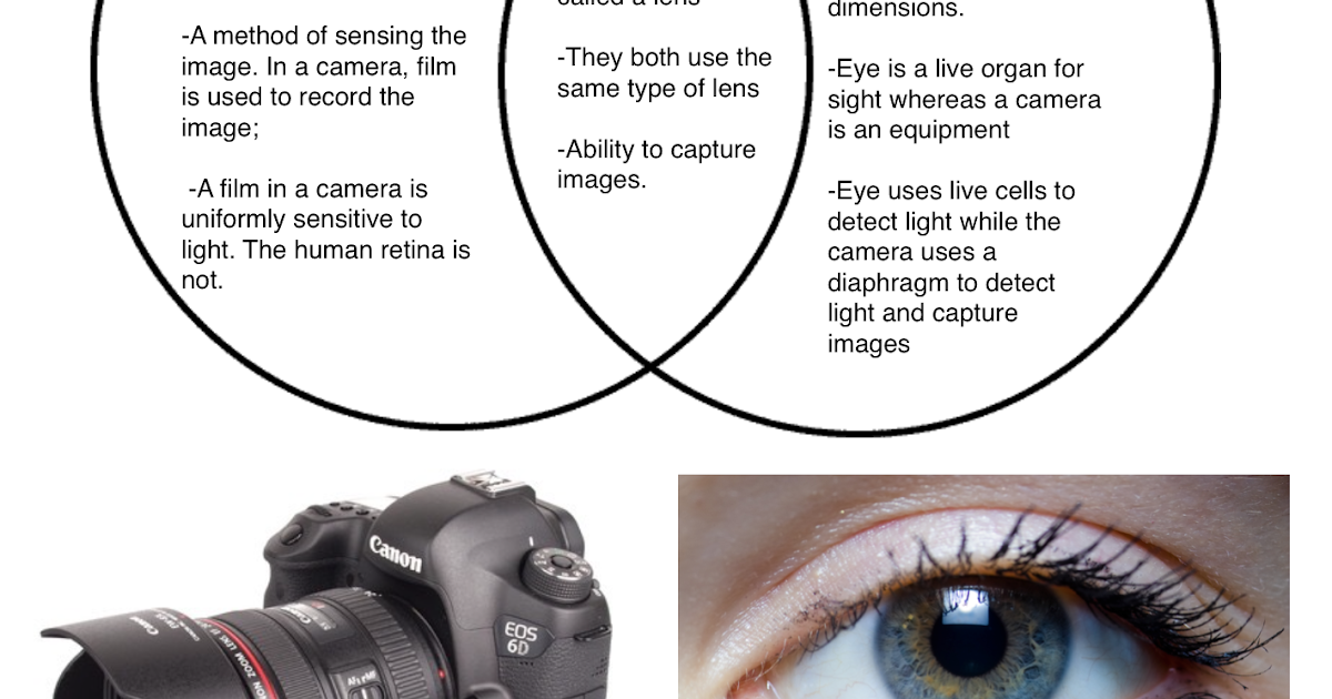 Kevin s Photography Differences And Similarities Between Camera And kevin-s-photography-differences-and-similarities-between-camera-and