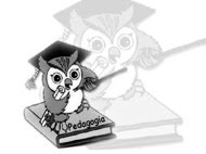 O MUNDO DA PEDAGOGIA: CORUJA O SÍMBOLO DA PEDAGOGIA. POR QUÊ?