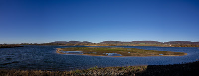 Panorama Weseraue