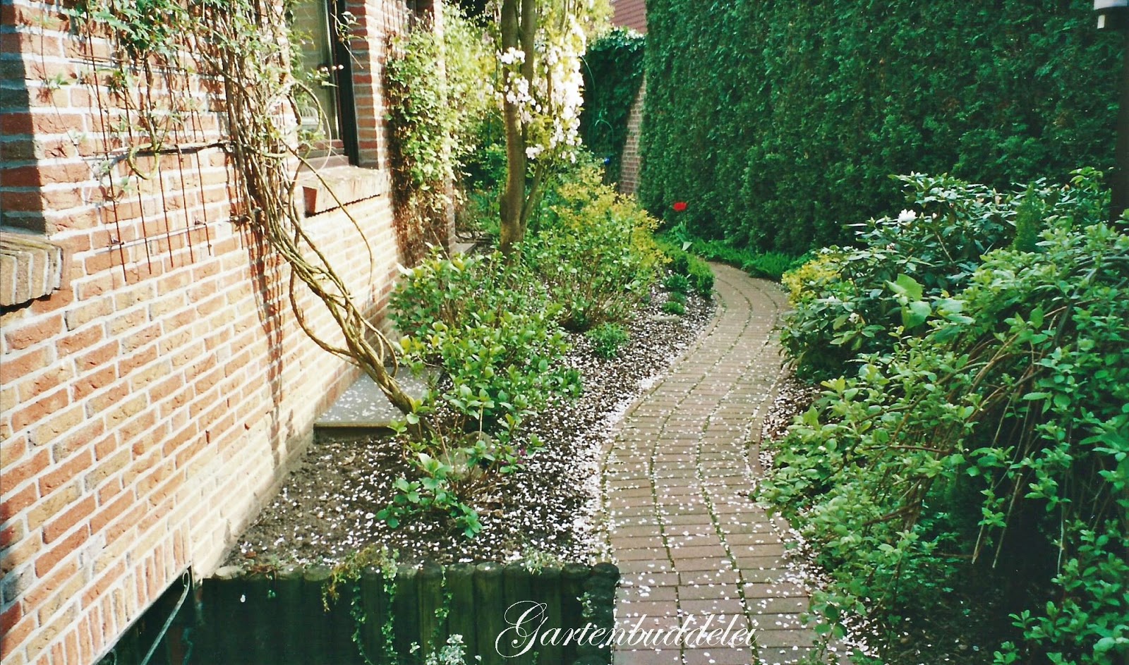 Princessgreeneye Schufterei Und Akelei Zauber