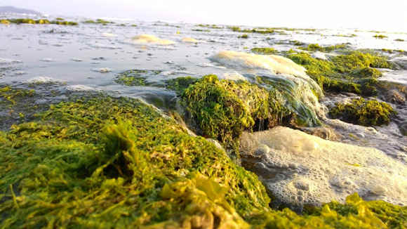 Ketika Air Laut Surut di Pantai Karapyak Ketika Air Laut Surut di Pantai Karapyak