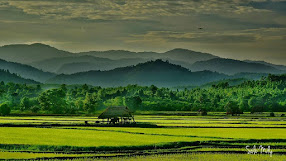 Beauty of Myanmar