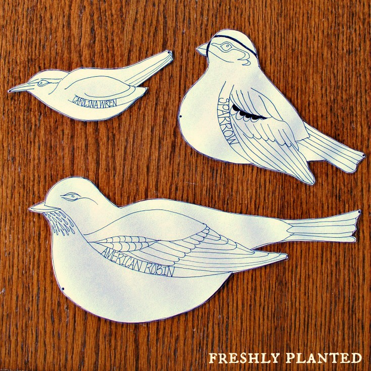 Measuring Is for the Birds! FreshlyPlanted