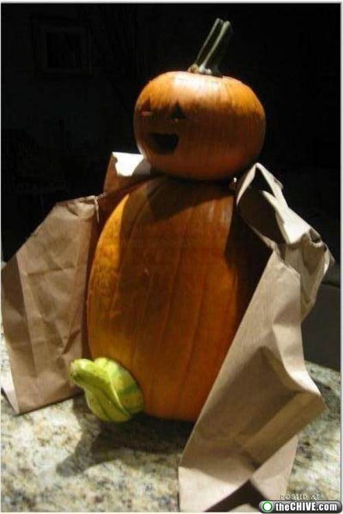 The Patterns Of Funny Pumkin Pictures ONLINE NEWS ICON