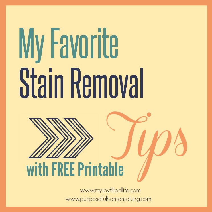 Purposeful Homemaking: Today I'm Sharing My Best Stain Tips With You ...