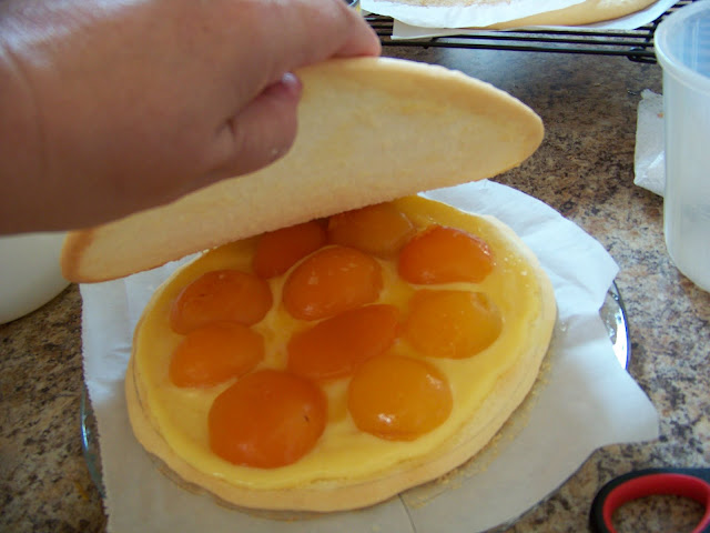 Custard and Apricots on one layer and the top