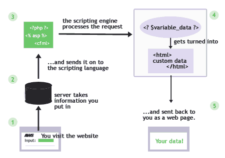 WEB SERVER SCRIPTING
