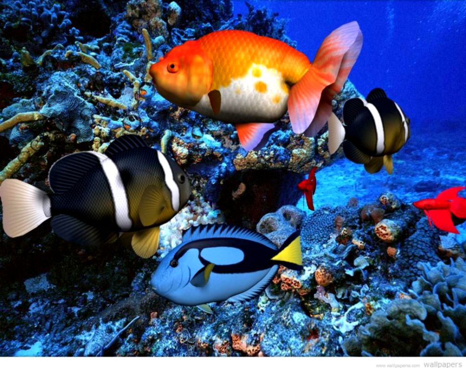 Desktop animated screensavers free download Desktop animated screensavers free download