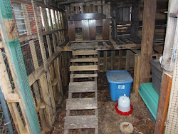 chicken coop inside coops pallet plans garage instant garden
