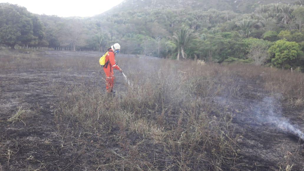 Incêndio florestal é debelado no distrito de Itaitu em Jacobina