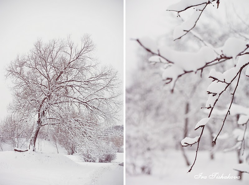 белым белым снегом замело сентябрь. белым белым снегом замело сентябрь. метель и двое влюбленных. женщина зима грусть. белый снег.