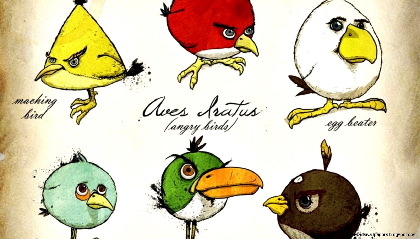 Angry Birds Drawing Hd Wallpaper – wallpapers is