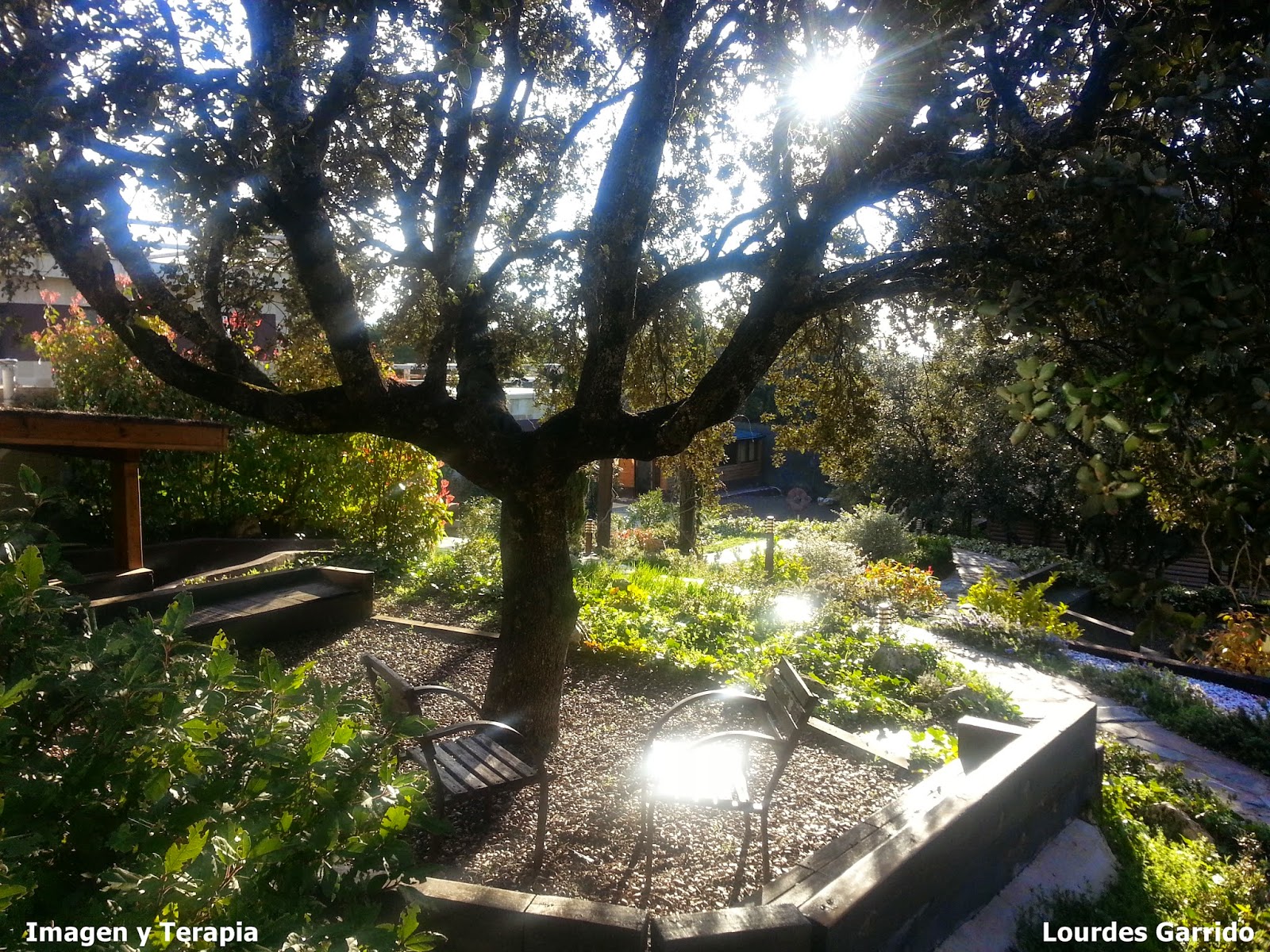 Por qué nos queremos