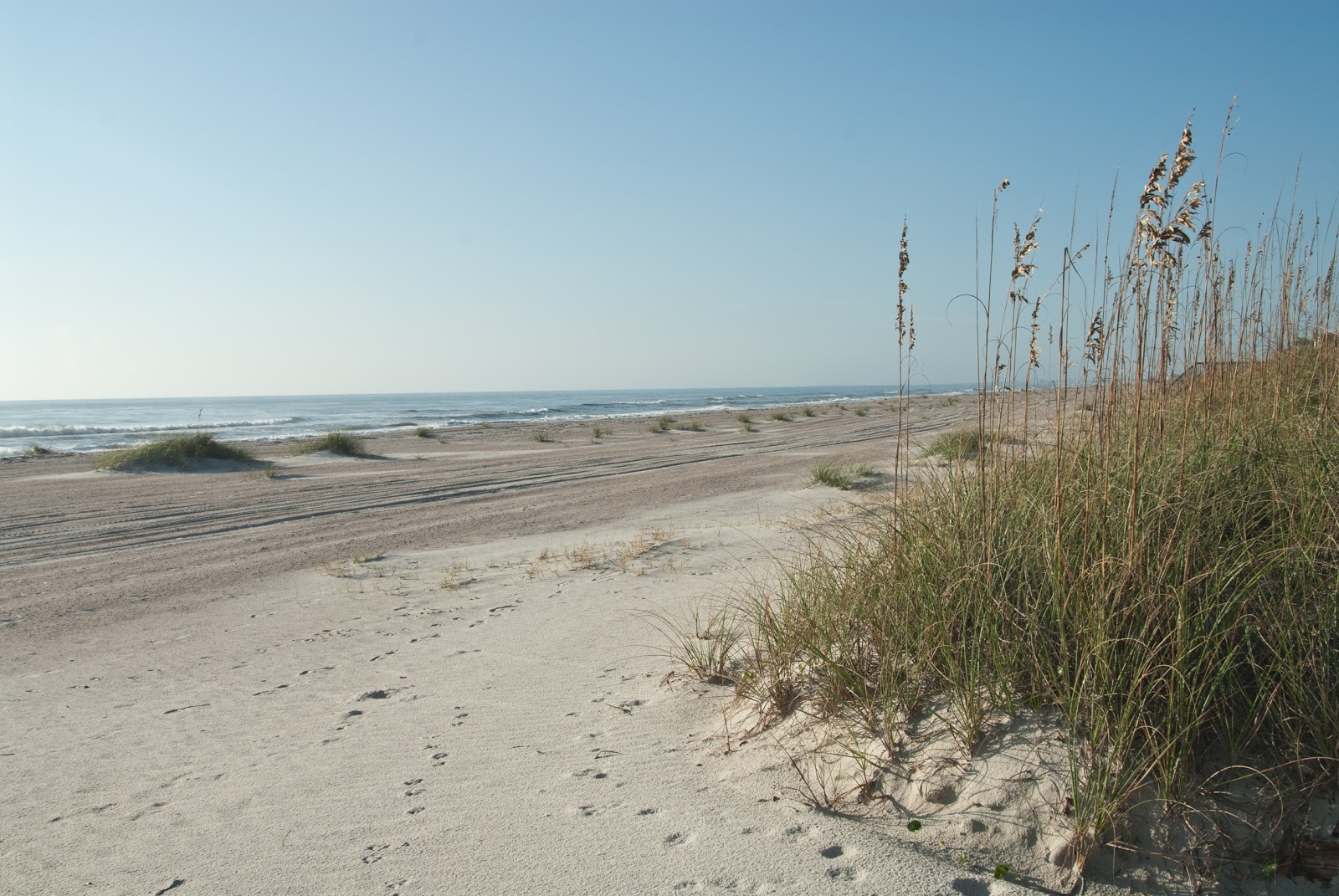 Dancing On The Journey!: Growing Up In A Magical Place: Fernandina Beach