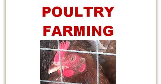 Poultry husbandry pdf