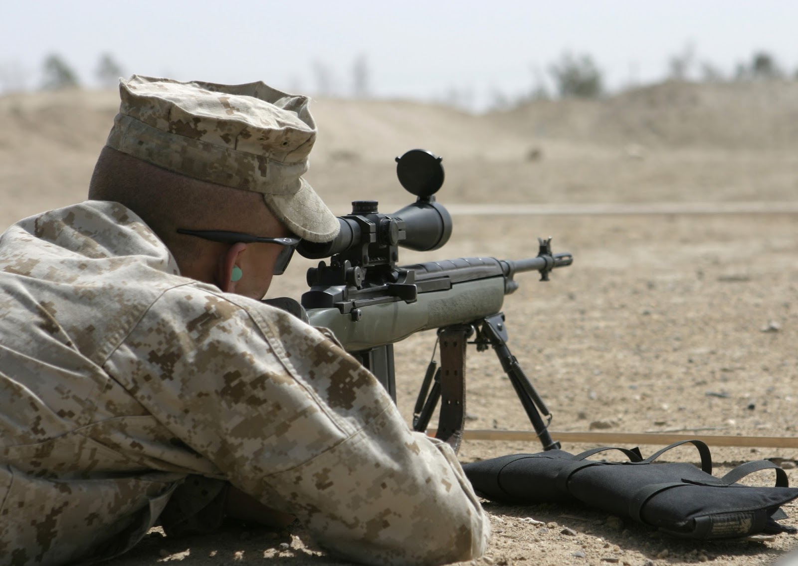 M1a Dmr - 1600x1135 - jpeg M1a Dmr