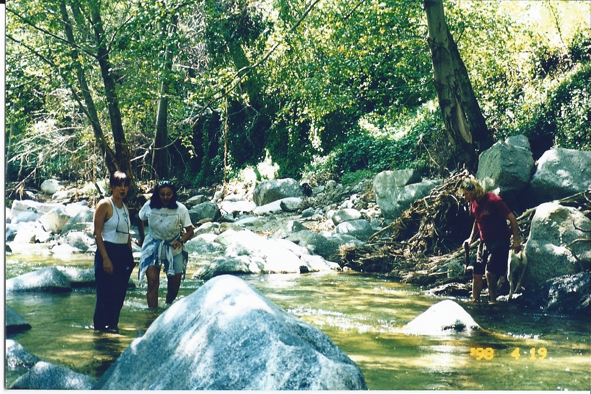 Western Sojourns Travels with Camissonia LOWER ARROYO SECO GOULD
