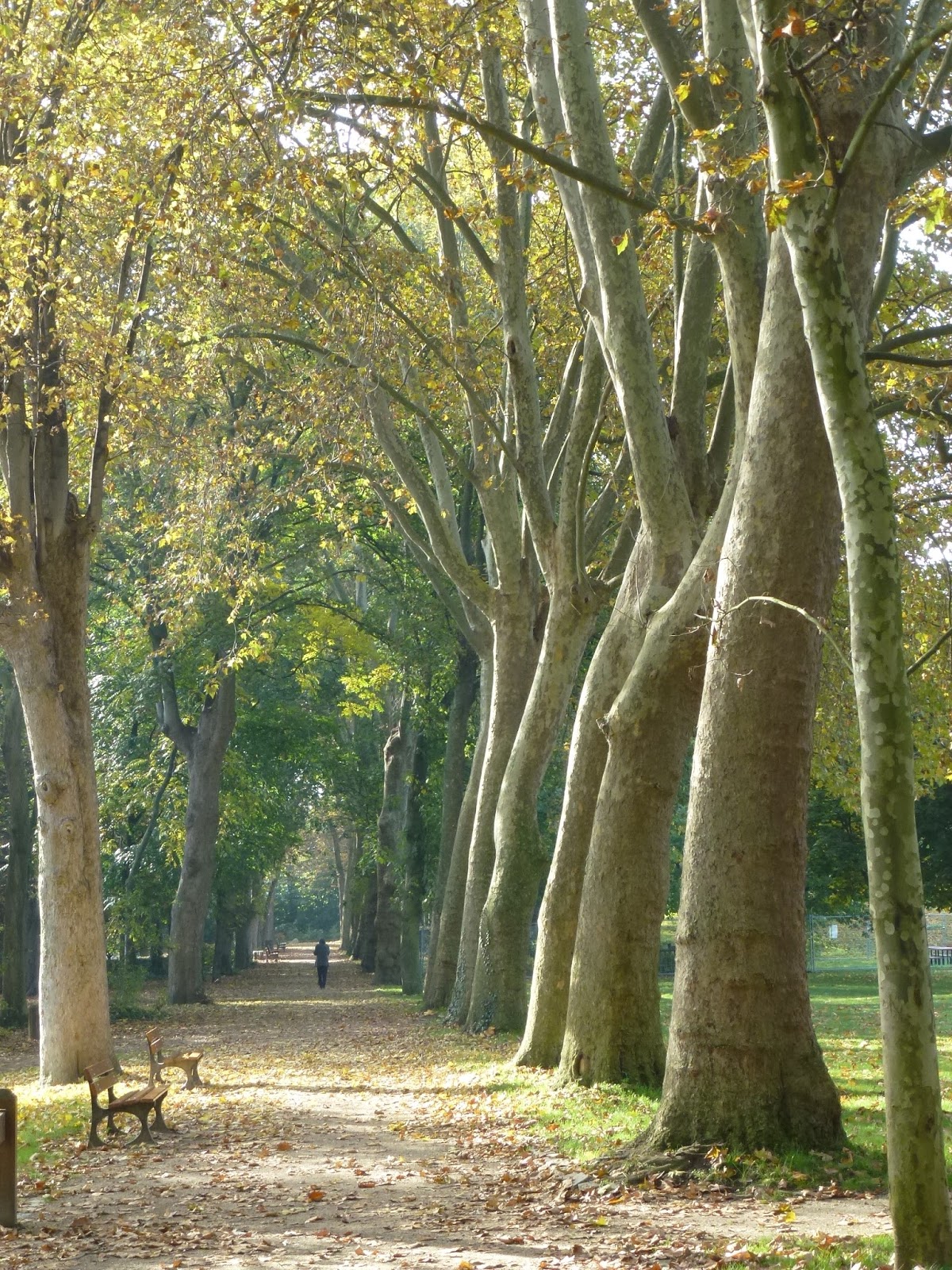 Parc De La Légion D Honneur Saint Denis J'habite à Saint-Denis: Que voulons-nous pour notre ville ? Le parc de