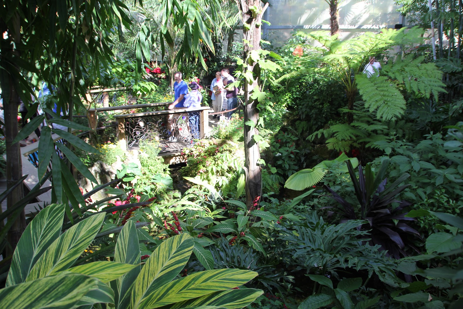 Adventure Thug Butterfly Rainforest, Gainesville, FL
