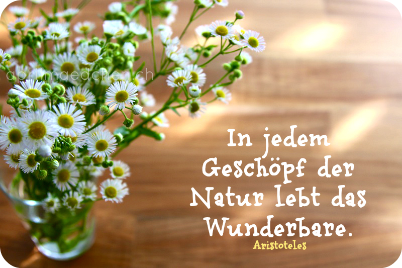 aprilmaedchen.ch spruch des tages&hellip;