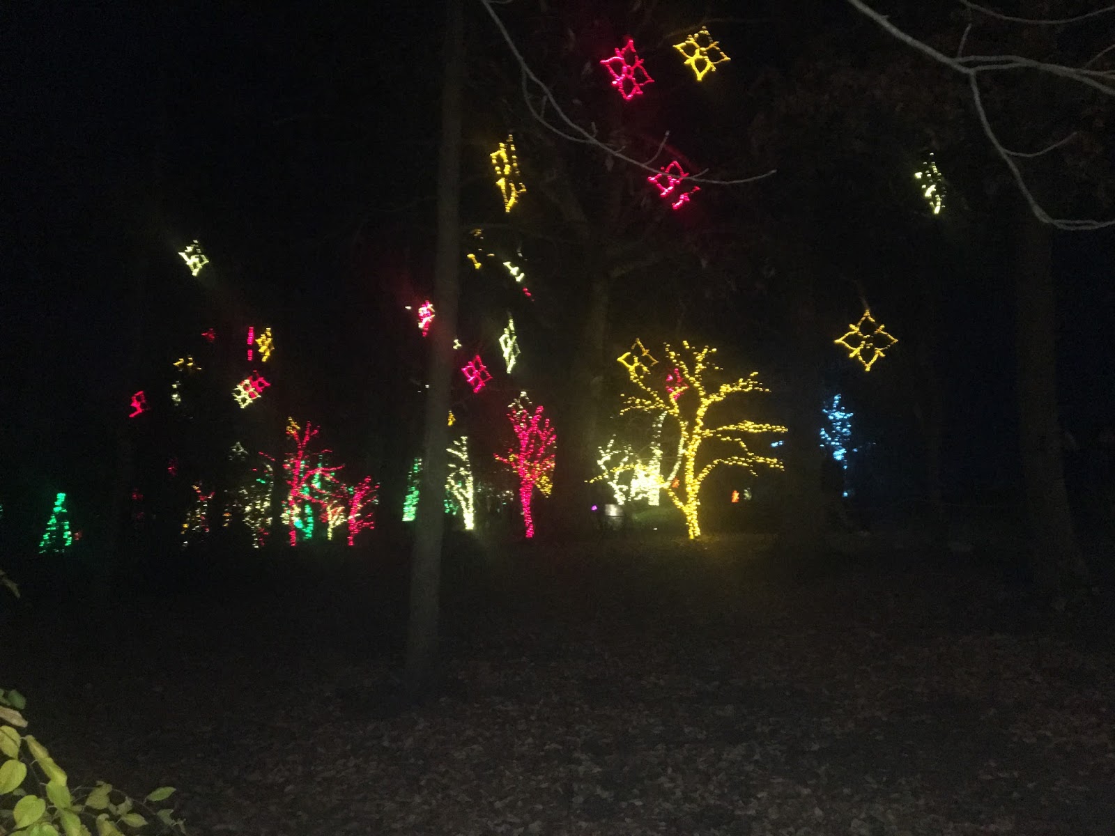 Christmas Lights in Nashville Nashville Wife