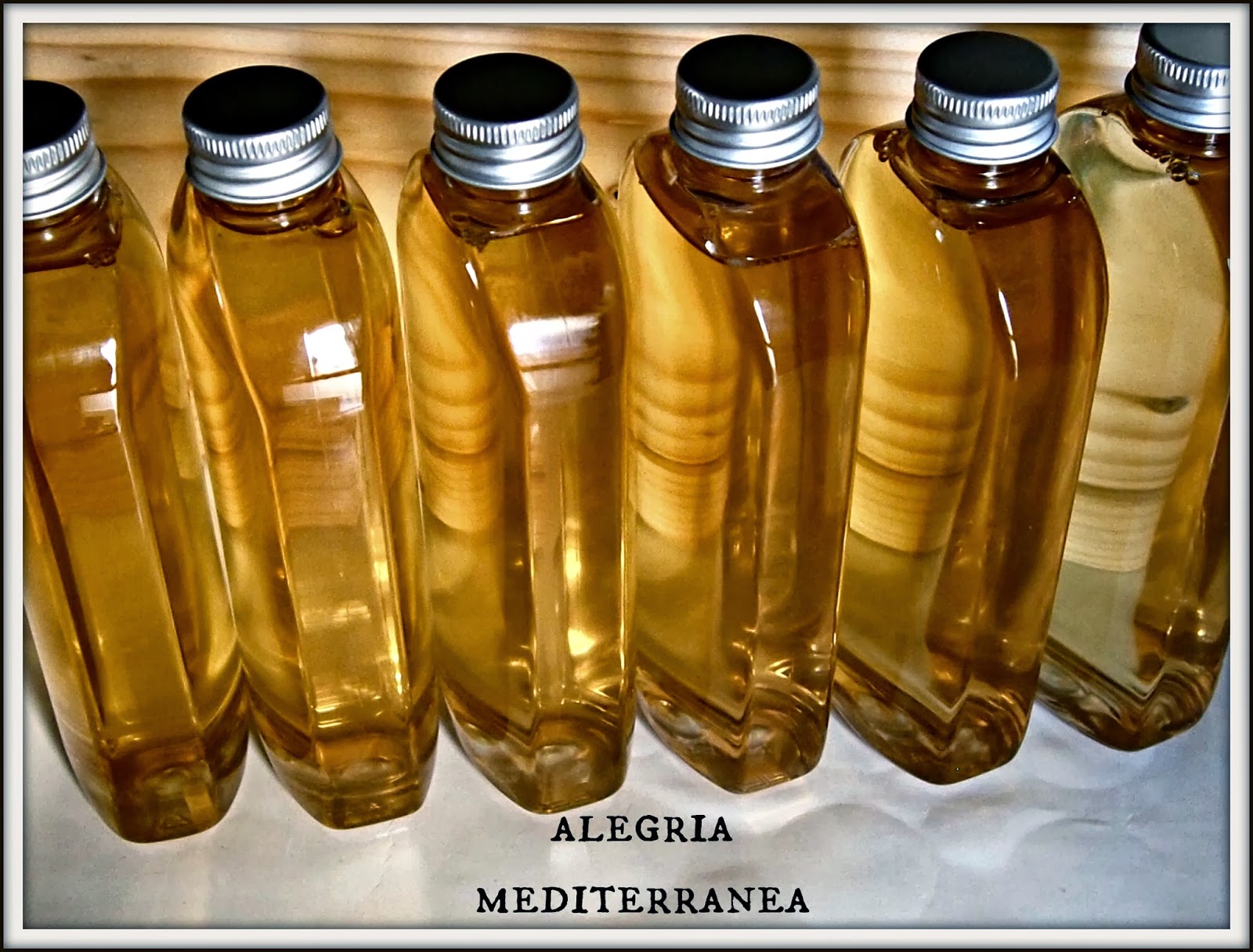 ALEGRIA MEDITERRANEA SHAMPOO liquid , natural+vegan