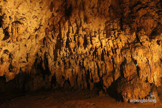 gua mimpi bantimurung maros
