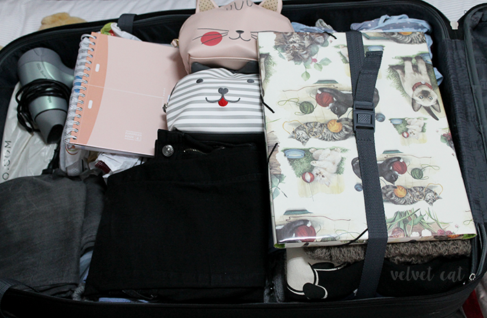 Erasmus belfast maleta