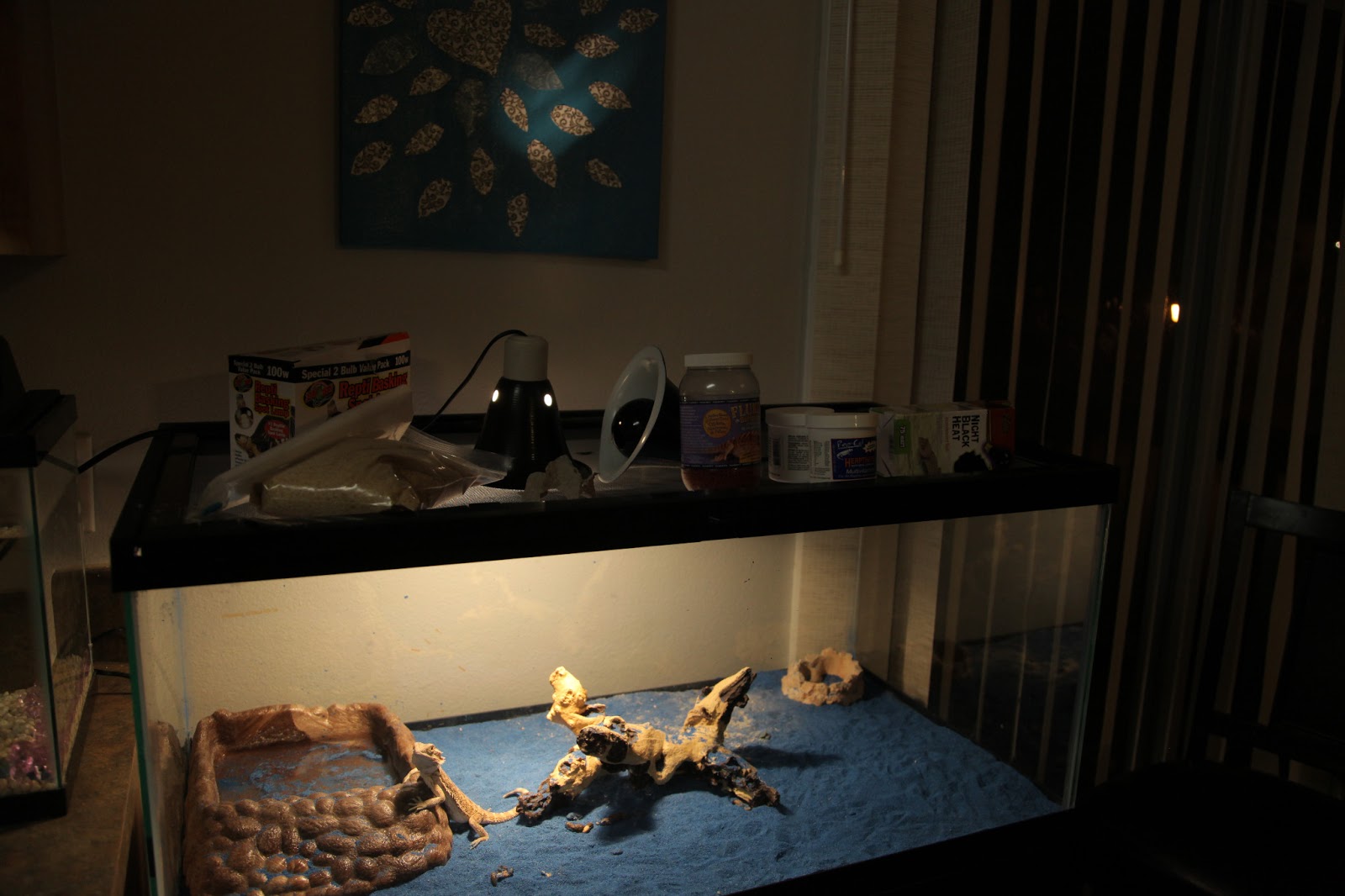 c-and-c-cage-bearded-dragon-enclosure