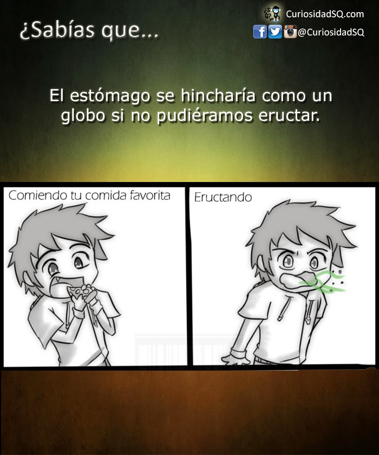 ¿Sabías que? El estómago se hincharía como un globo si no pudiéramos