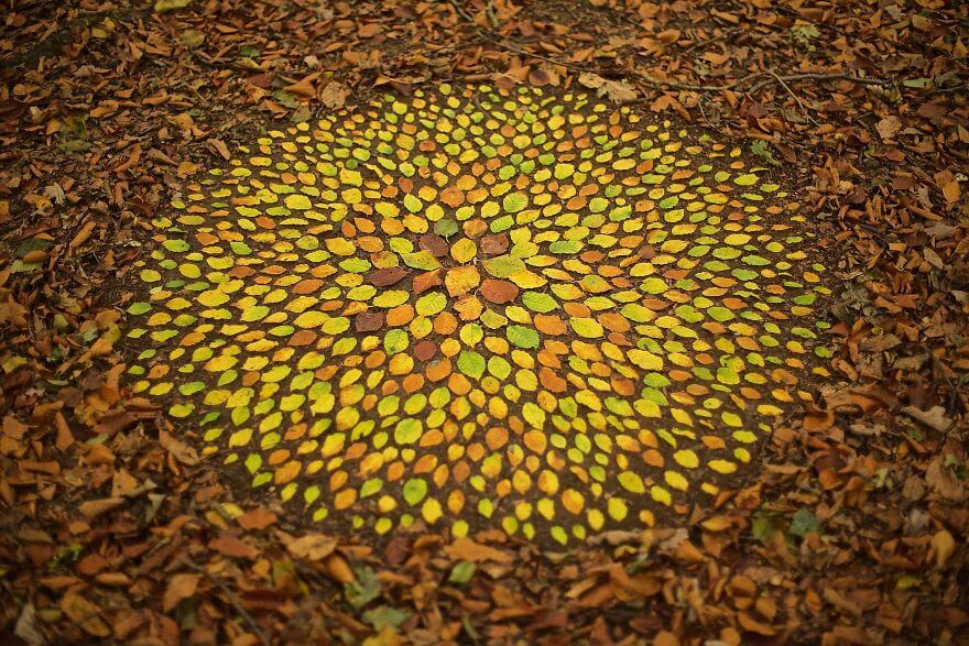 Artist Turns Natural Objects Into Mesmerizing Mandalas And Leaves Them For People To Discover