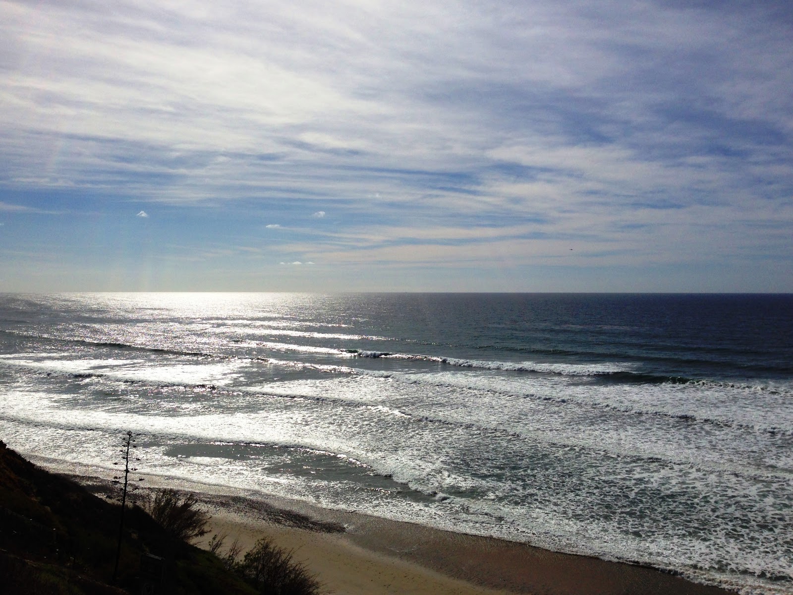 North County Surf Surf Check