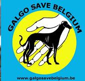 GALGO SAVE BELGIUM