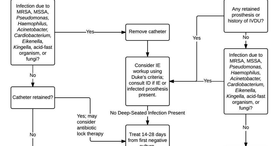 UK Trauma Protocol Manual Bacteremia (Antimicrobial Duration and