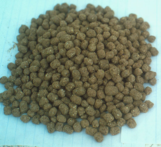 Formulation of Local Catfish Feed Anambra Indigenous Youth Farmers