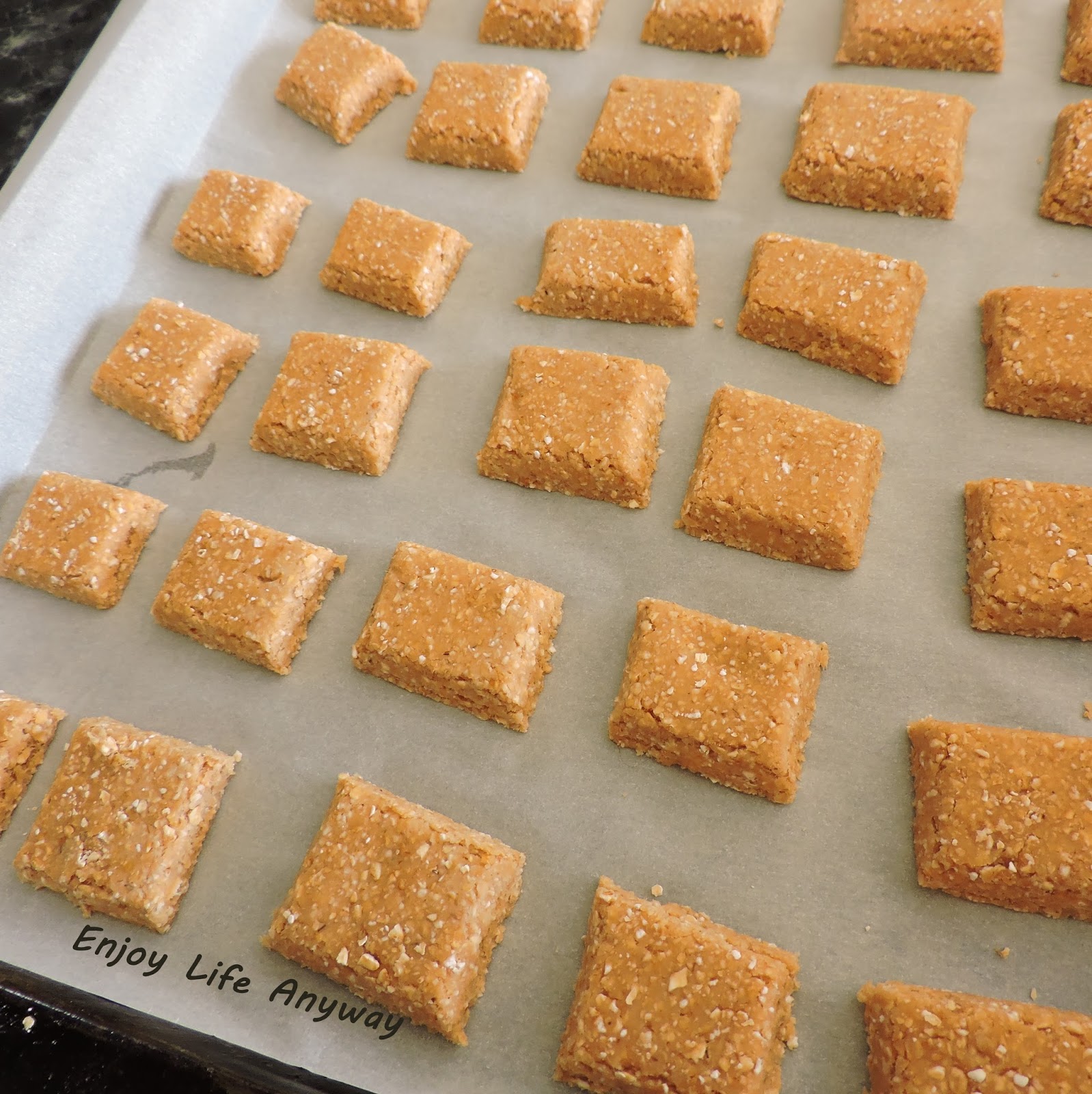 Enjoy Life Anyway Homemade Oatmeal Tuna Dog Treat Recipe