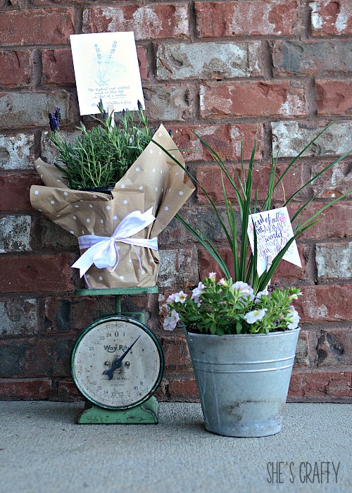 Mother's Day plant gift with printable card and holder