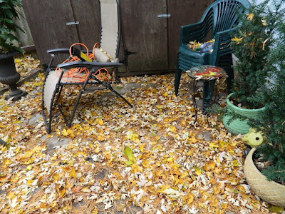 Coxwell-Danforth Toronto Fall Cleanup Before by Paul Jung Gardening Services--a Toronto Organic Gardening Company Coxwell-Danforth Toronto Fall Cleanup Before by Paul Jung Gardening Services--a Toronto Organic Gardening Company