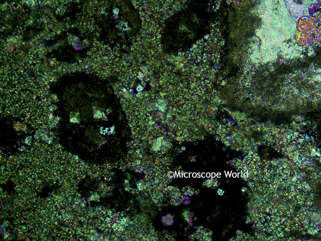 Microscopy polarizing microscope image under Fein Optic R40POL polarizing microscope.