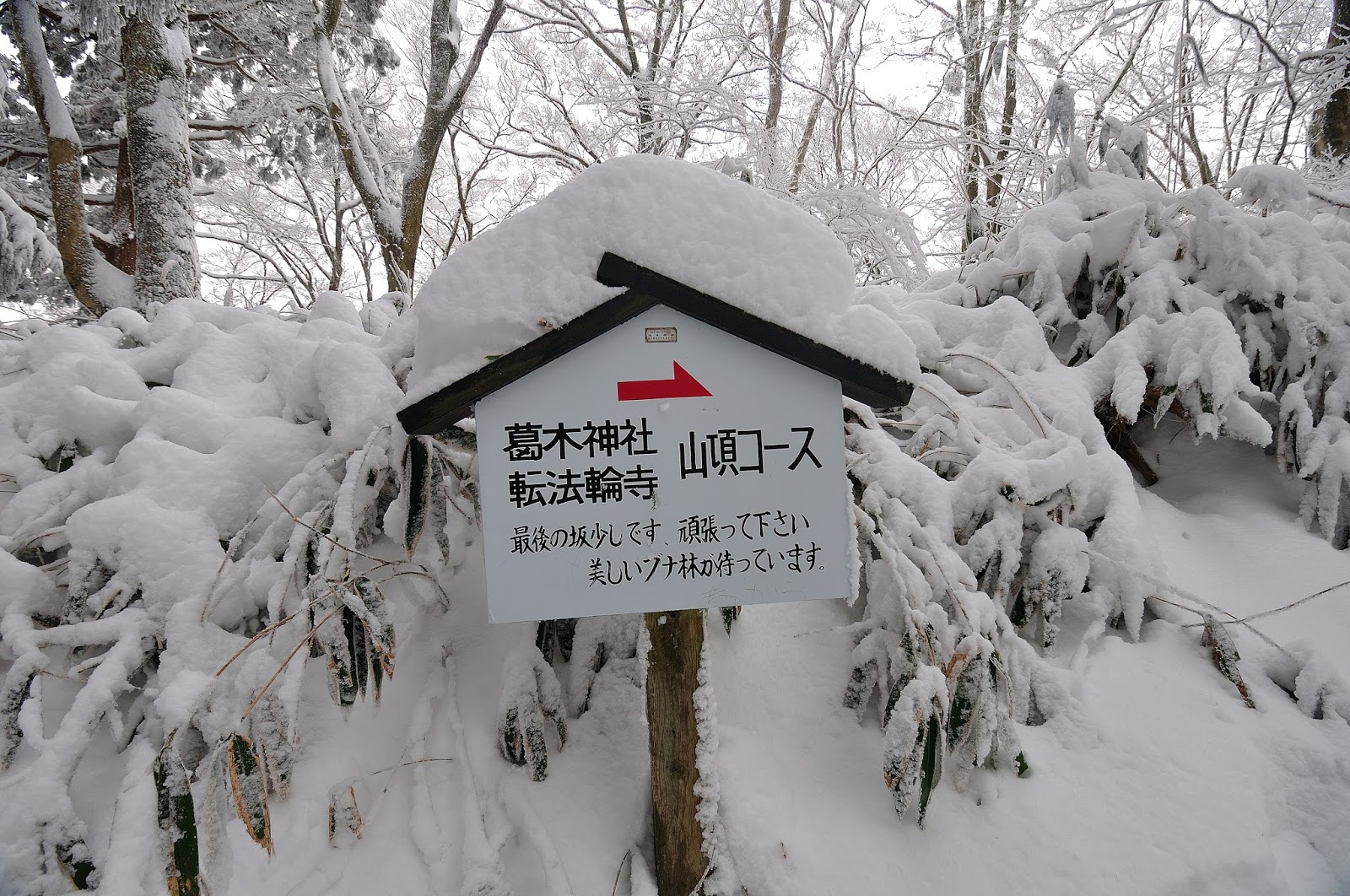 山 積雪 金剛 大阪に雪が積もった！ ここは金剛山、雪の絶景がサイコー☆[大阪府千早赤阪村、奈良県御所市]