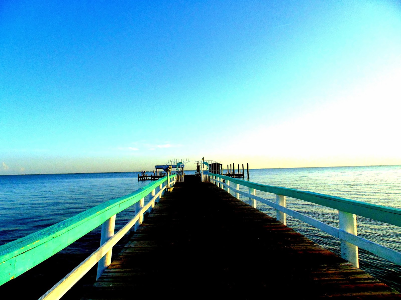 Pine Island, Florida Incredibly busy real estate sales this summer on