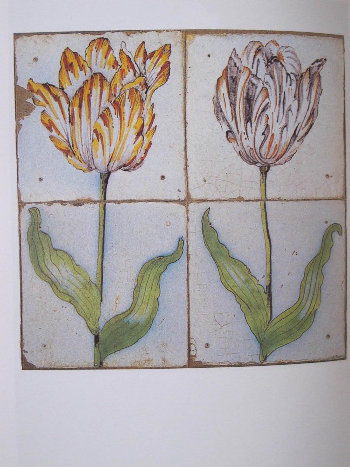 La Tulipe De Anna Pavord - Livre - Foto 14