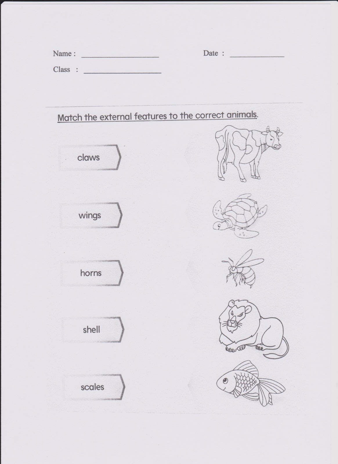 Welcome To Science Year 3 : Worksheet